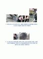 Glass Fiber 와 Basalt Fiber 공정실험레포트 4페이지