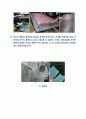Glass Fiber 와 Basalt Fiber 공정실험레포트 5페이지