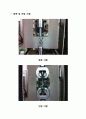 Glass Fiber 와 Basalt Fiber 공정실험레포트 8페이지