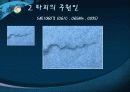 Point pleasant Silver bridge파괴분석 7페이지