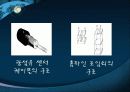 Point pleasant Silver bridge파괴분석 16페이지