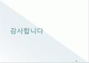 중앙대학교 글로벌 발전 방안 28페이지