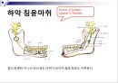 발치 5페이지