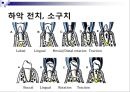 발치 10페이지