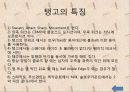 (A+자료) 댄스스포츠 모던볼륨댄스(왈츠,탱고,퀵스텝,비엔나왈츠,폭스트롯)의 특징 및 발전배경과 종류 및 역할과 사례들 조사분석 10페이지