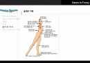 (A+자료) 댄스스포츠의 정의와 올바른 자세교정 및 종류와 가치 및 예절 조사분석 7페이지