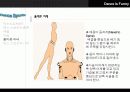 (A+자료) 댄스스포츠의 정의와 올바른 자세교정 및 종류와 가치 및 예절 조사분석 11페이지