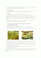 [원예작물학1]집 근처 시장(마트)에서 거래되는 채소의 종류와 거래형태를 조사하고 그 내용을 체계적으로 정리하여 보고 - 하나로클럽 3페이지