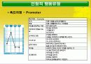 DISC 행동유형 53페이지