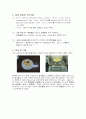 (결과) Nifedipine 합성 - preparation of Nifedipine 3페이지