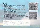 소리(sound) 12페이지