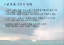 소리(sound) 24페이지