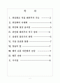 [위안화]위안화 사용의 증가와 기축통화 전망 2페이지