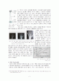 인간발달-유아기의 발달 2페이지