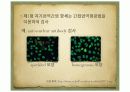 자가면역간염pdf 15페이지
