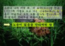 고등 문학 발표숙제) 유치환-선한나무 4페이지