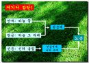 고등 문학 발표숙제) 유치환-선한나무 5페이지