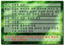 고등 문학 발표숙제) 유치환-선한나무 7페이지