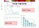 MISSHA 마케팅 분석 및 전략 swot, bcg, plc, 시장세분화 11페이지