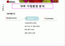 MISSHA 마케팅 분석 및 전략 swot, bcg, plc, 시장세분화 28페이지
