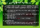 [물류관리론] 제1장 공급사슬관리와 경쟁전략 ( scm ) ( 물류관리 )(채찍효과)(내부가치사슬)(pearson) 6페이지