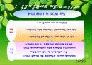 [물류관리론] 제1장 공급사슬관리와 경쟁전략 ( scm ) ( 물류관리 )(채찍효과)(내부가치사슬)(pearson) 8페이지