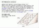전기의 모든것(전기의 역사부터 최신 기술까지) 26페이지