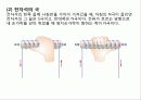 전기의 모든것(전기의 역사부터 최신 기술까지) 79페이지