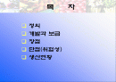 유전자 재조합 식품(유전자변형식품) 2페이지