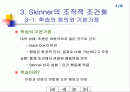 Skinner의 조작적 조건화 1페이지