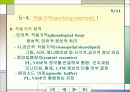 정보처리이론 5페이지