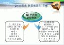 스포츠와 집합행동 19페이지
