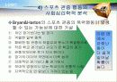 스포츠와 집합행동 23페이지