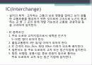 (도로설계) 동해-삼척간 도로 노선선정 및 설계 계획 32페이지
