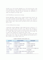 글로벌 경영전략 모델(모형) 3페이지