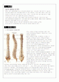 Case_Study_척추협착증 3페이지