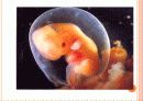 세상과만남이있기까지(3) 15페이지