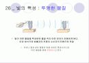 빛 9페이지