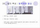 빛 16페이지