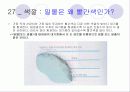 빛 41페이지