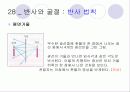 빛 50페이지