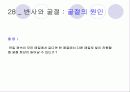 빛 65페이지