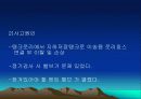 가스사고사례 13페이지