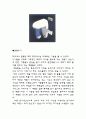 내가 선정한 10대 첨단제품 4페이지