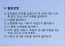 유아사회교육을 위한 활동 27페이지