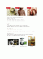허브 식물 조사  4페이지