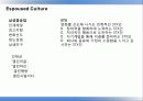 [서강대][조직행동이론] 삼성중공업, STX 기업 문화 비교분석, 케이스스터디 7페이지