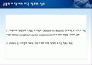 아나톨 칼레츠키의 자본주의 4.0 에 대한 고찰 9페이지