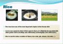 한국의 음식(korean foods) 영어 발표 ppt 자료 4페이지