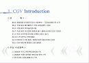 (A+자료) CGV 마케팅, 성공사례, 마케팅전략, 성공전략, 경영전략분석, 기업소개 및 특징과 서비스 품질조사, 만족도,문제점 개선방안 조사분석 3페이지